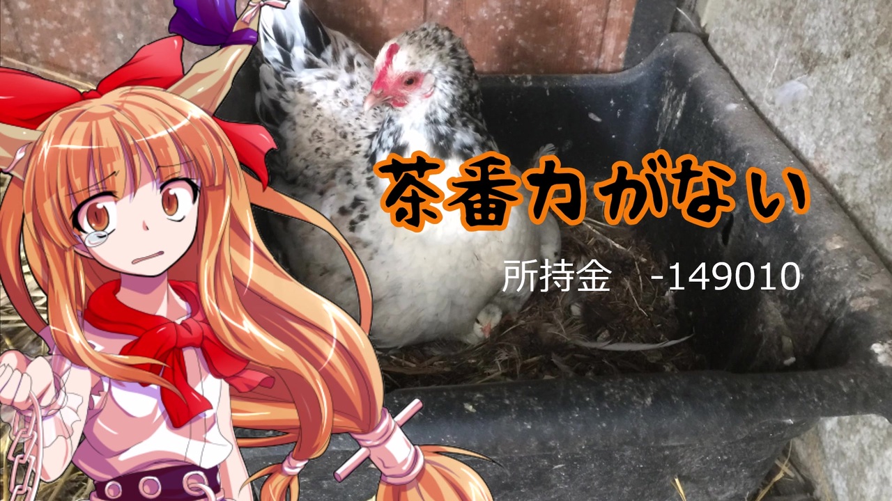 人気の ニワトリ 動画 4本 ニコニコ動画