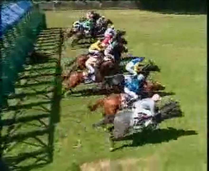 人気の 仏ダービー 動画 15本 ニコニコ動画