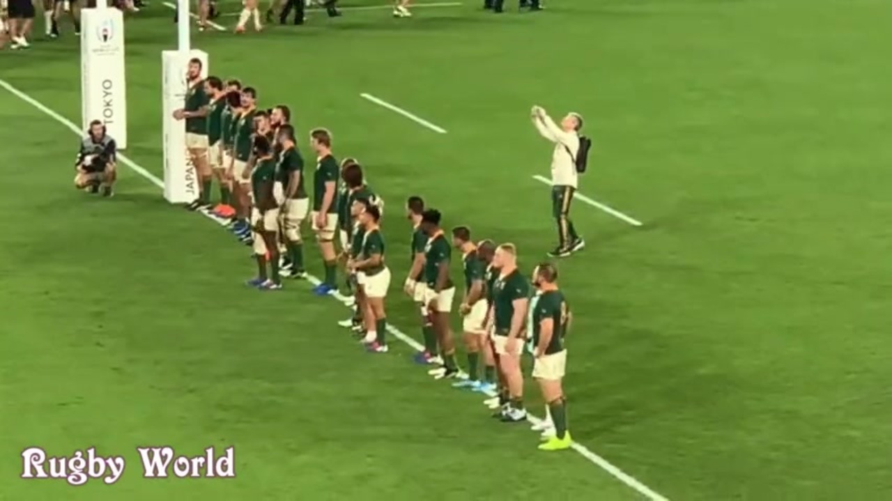 ラグビー ｎスプリングボクス 南アフリカ代表 が日本のファンへ感謝の お辞儀 が話題に ニコニコ動画