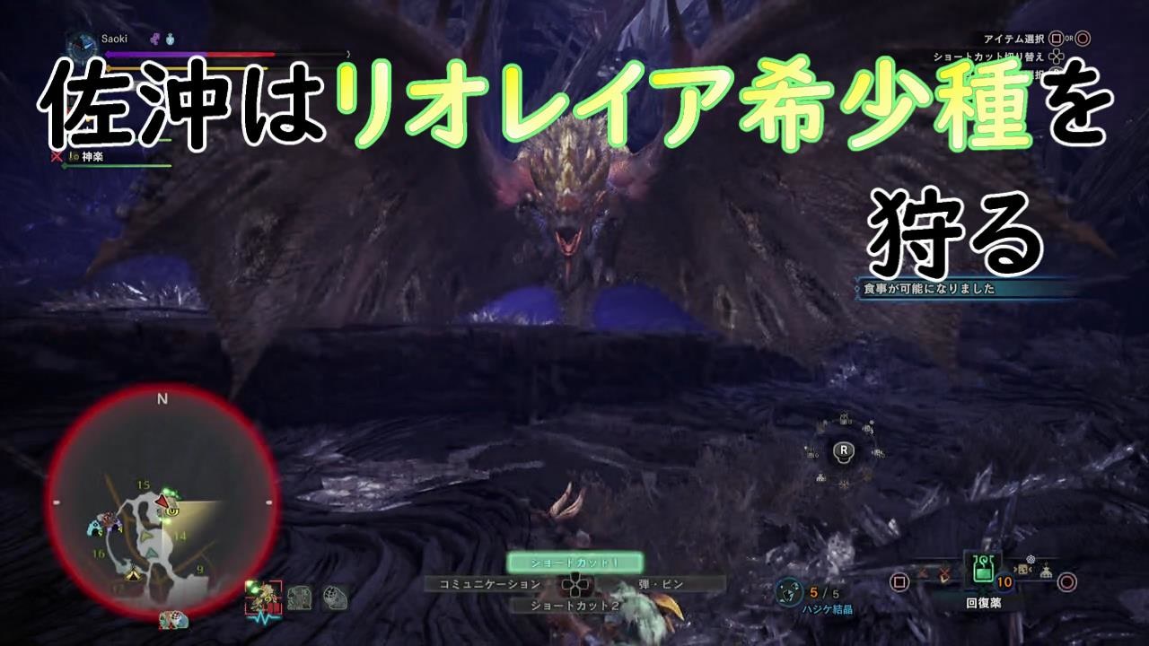 Mhw 佐沖はリオレイア希少種を狩る ニコニコ動画