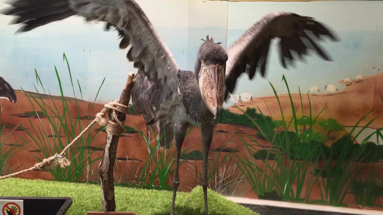 カワダ Nbc 345 ナノブロック