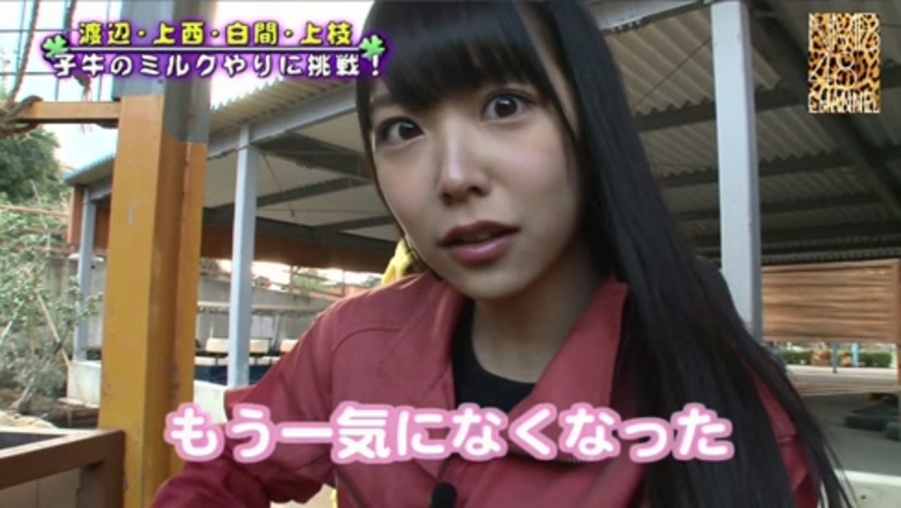 人気の 渡辺美優紀 動画 199本 ニコニコ動画