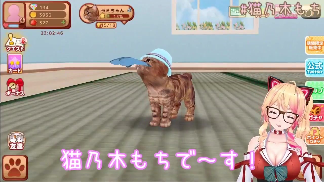 猫乃木もち てのひらニャンコ Twitter公開動画 ニコニコ動画