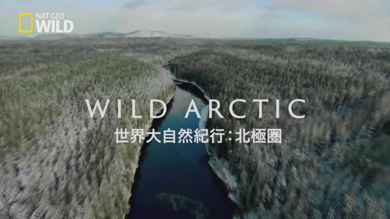 北極圏のフレンズ 凍てつく森 ニコニコ動画
