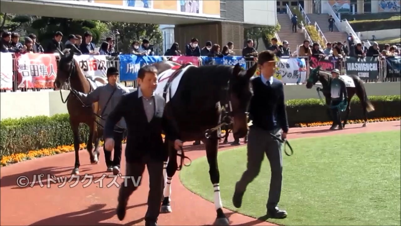 人気の ディープインパクト 動画 292本 2 ニコニコ動画