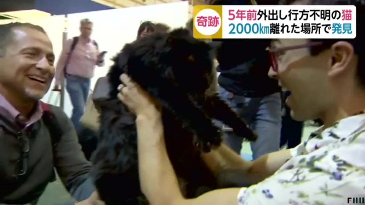 行方 不明 意 場 キャンプ