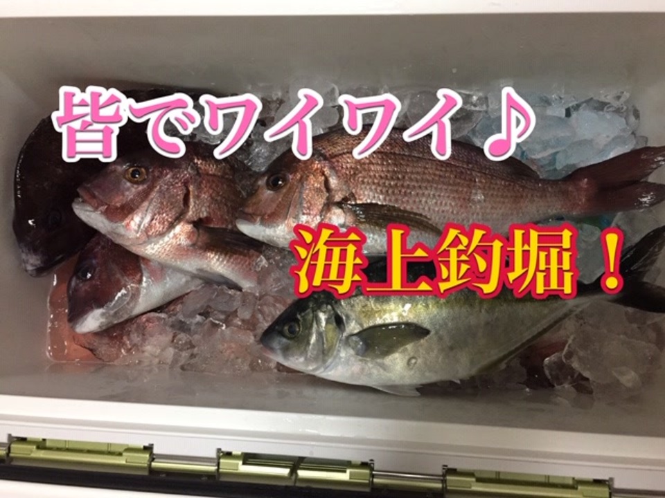 人気の 海上釣り堀 動画 7本 ニコニコ動画