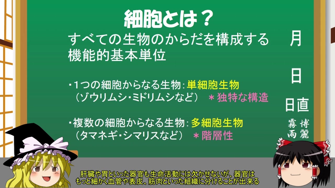 魔理沙のパーフェクトせいぶつ教室 細胞の種類 ゆっくり生物解説 ニコニコ動画