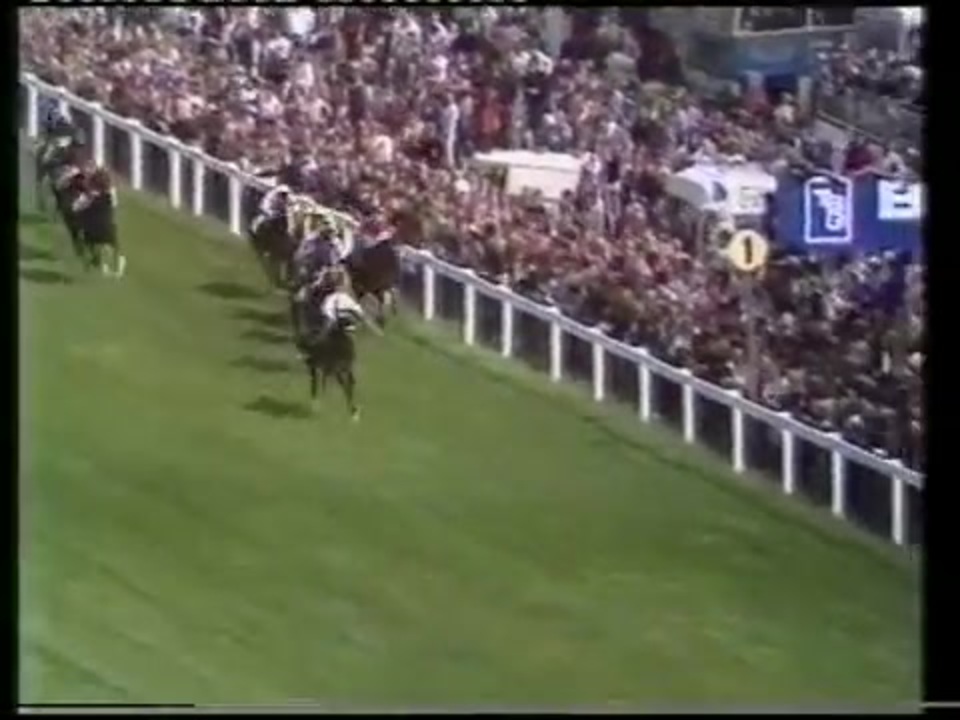 1979年 第0回ダービーステークス Derby Stakes トロイ Troy ニコニコ動画