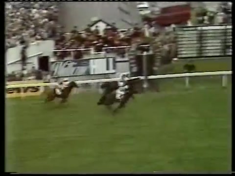 1978年 第199回ダービーステークス Derby Stakes シャーリーハイツ Shirley Heights ニコニコ動画