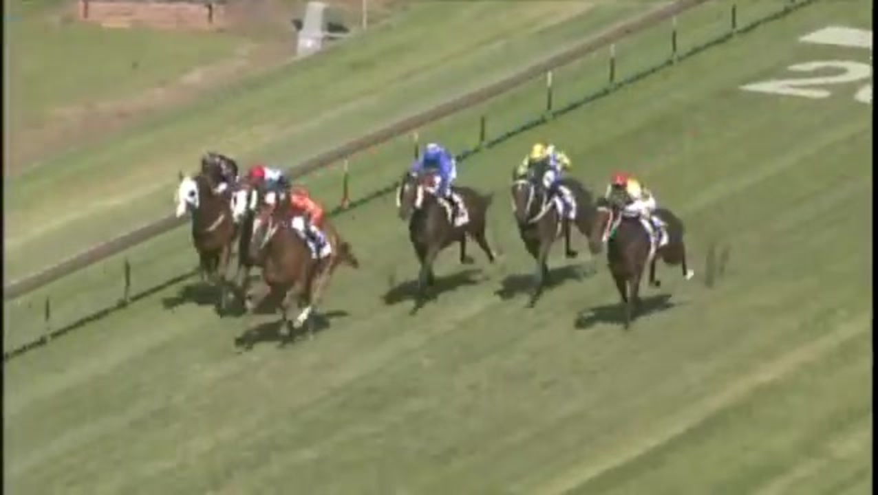 2007年 Ryder Stakes)ハラダサン(Haradasun) ニコニコ動画