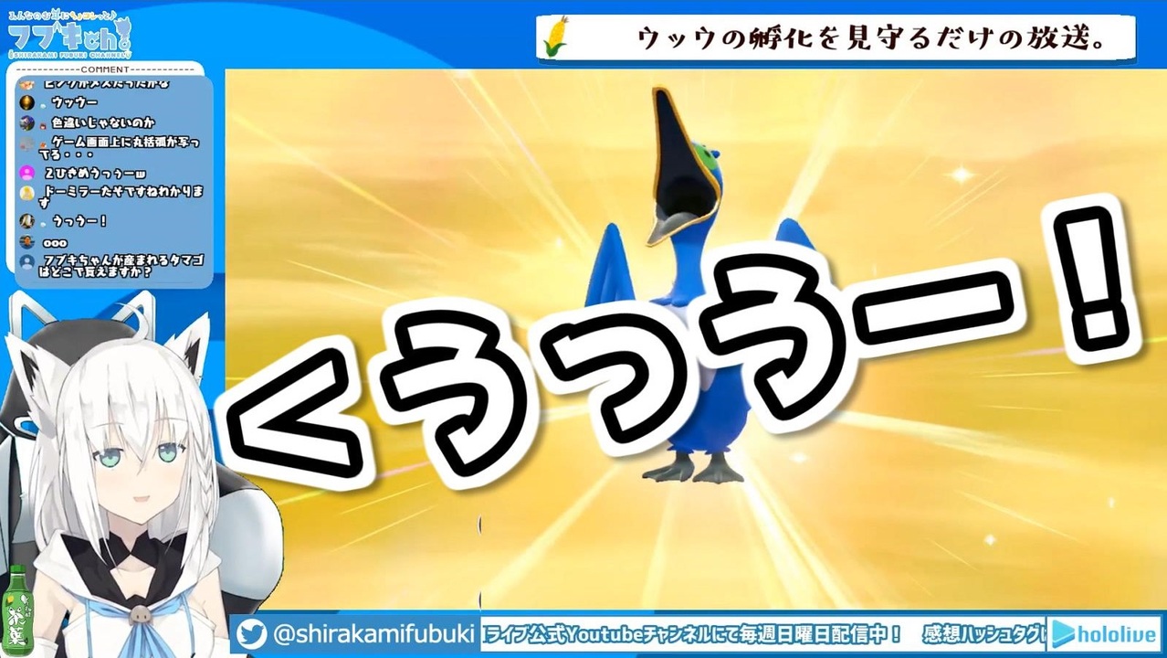 ポケ剣盾 ウッウが好きすぎる白上フブキの鳴き声ひたすらまとめ ニコニコ動画