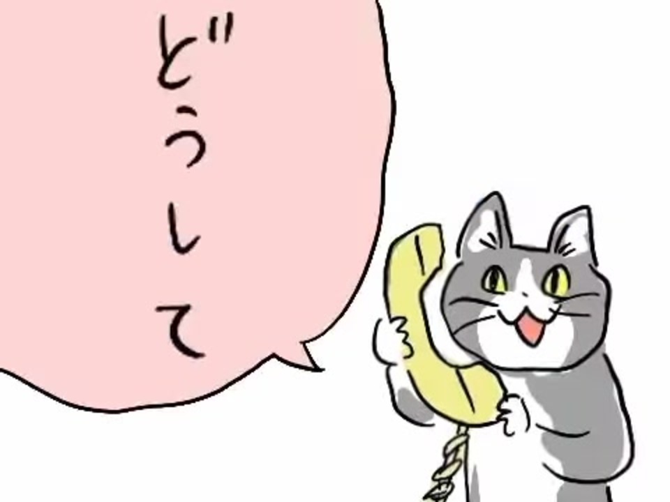 現場猫 どうして