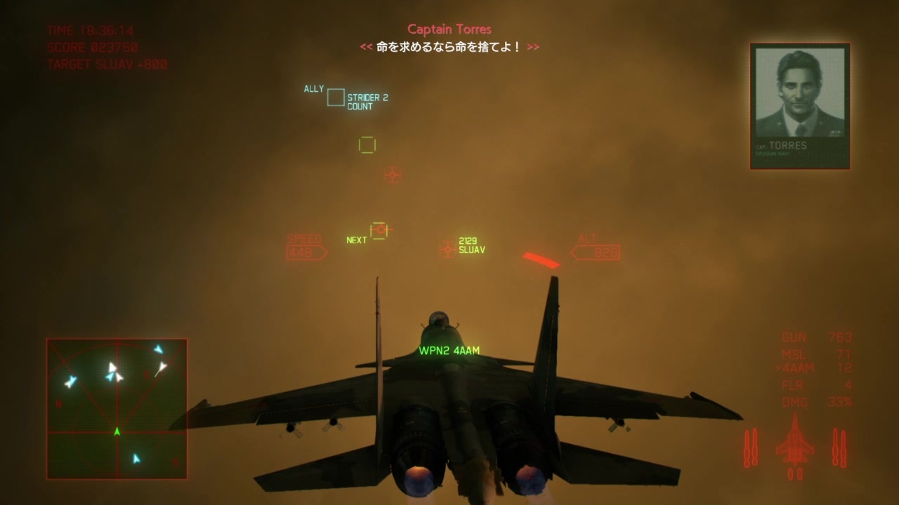 エースコンバット７ 黄色の13で1000万人救済計画 難易度エース ランクs ニコニコ動画
