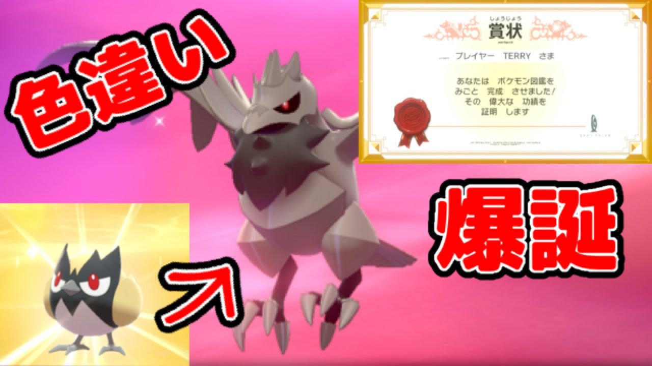 色違いアーマーガア誕生の瞬間 特性と個体値は ポケモン剣盾 ニコニコ動画