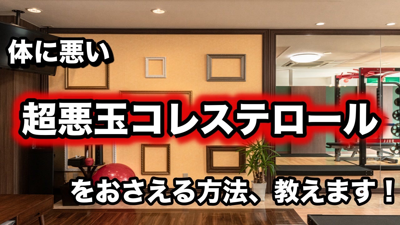 人気の コレステロール 動画 28本 ニコニコ動画