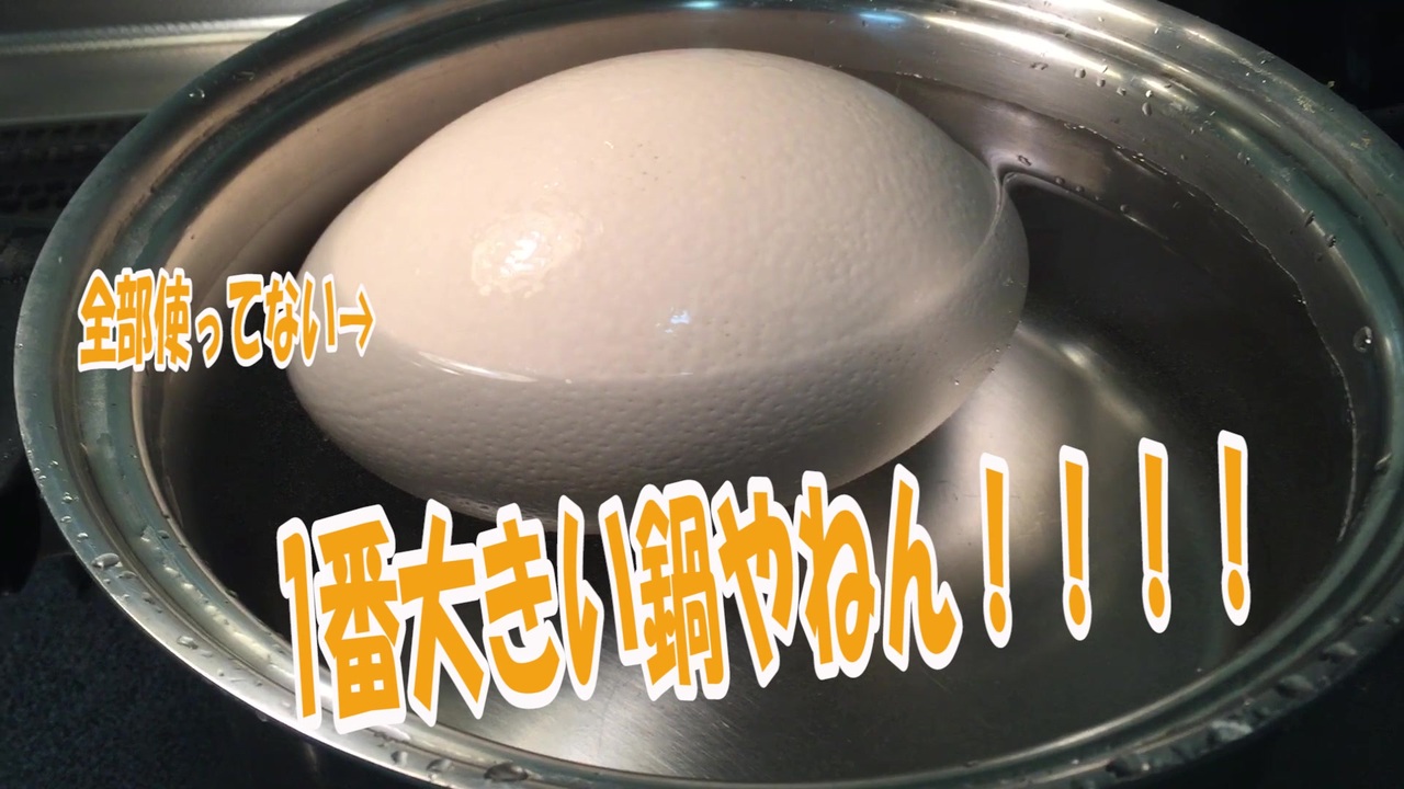ポケモン剣盾 ゆでたまごカレー を世界一大きな卵でつくってみた ニコニコ動画