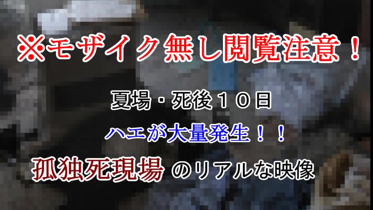 閲覧注意 ー 自殺の現場 ー 特殊清掃 ニコニコ動画