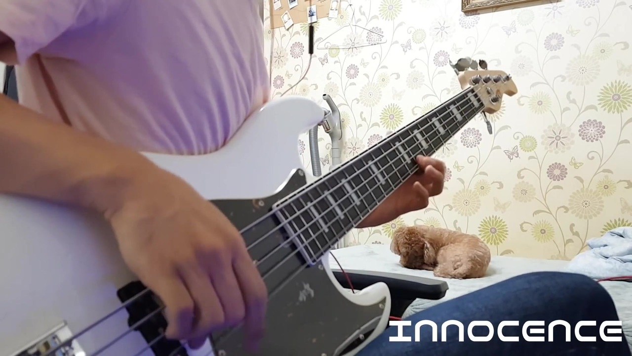 人気の Innocence 藍井エイル 動画 217本 ニコニコ動画