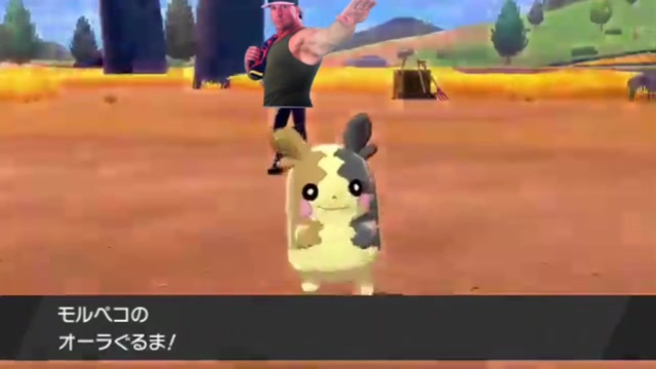 ポケモン剣盾 新技 オーラぐるま を本格的にガチ解説 ニコニコ動画