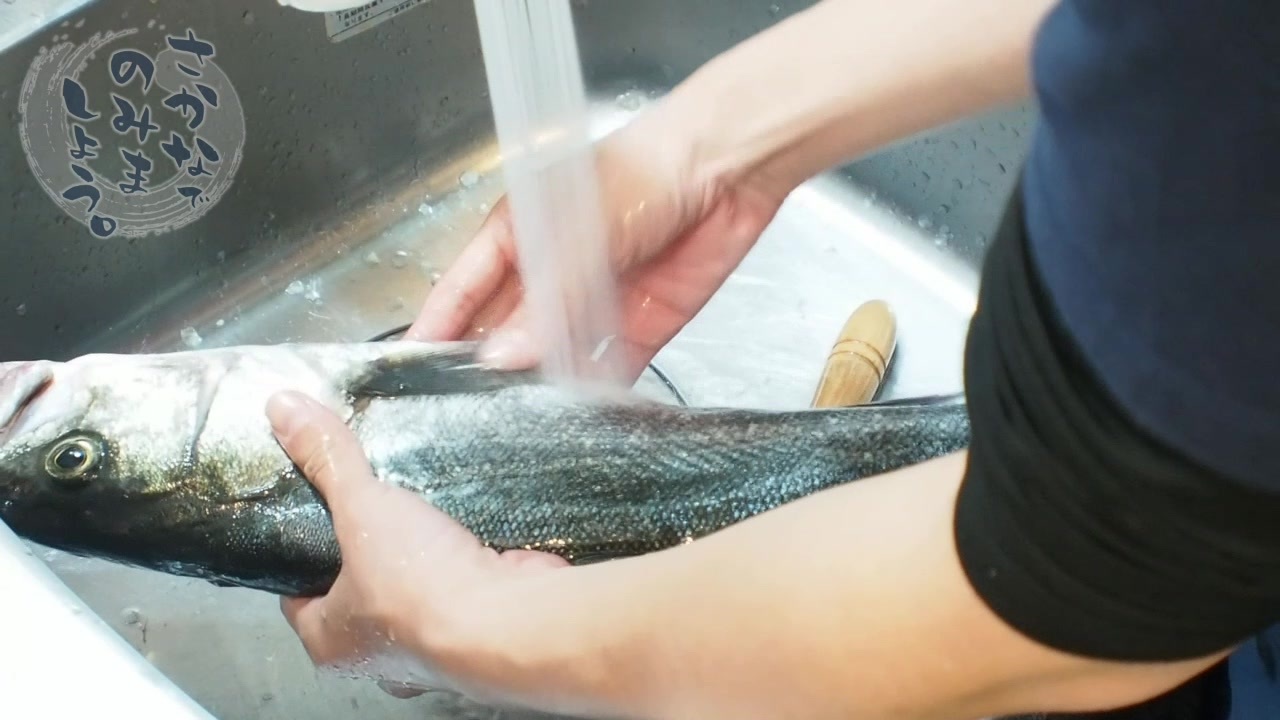 隅田川で釣ったシーバスをさばいて刺身で食べてみたが ニコニコ動画