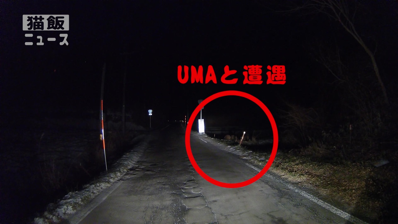 人気の 未確認動物 動画 44本 ニコニコ動画