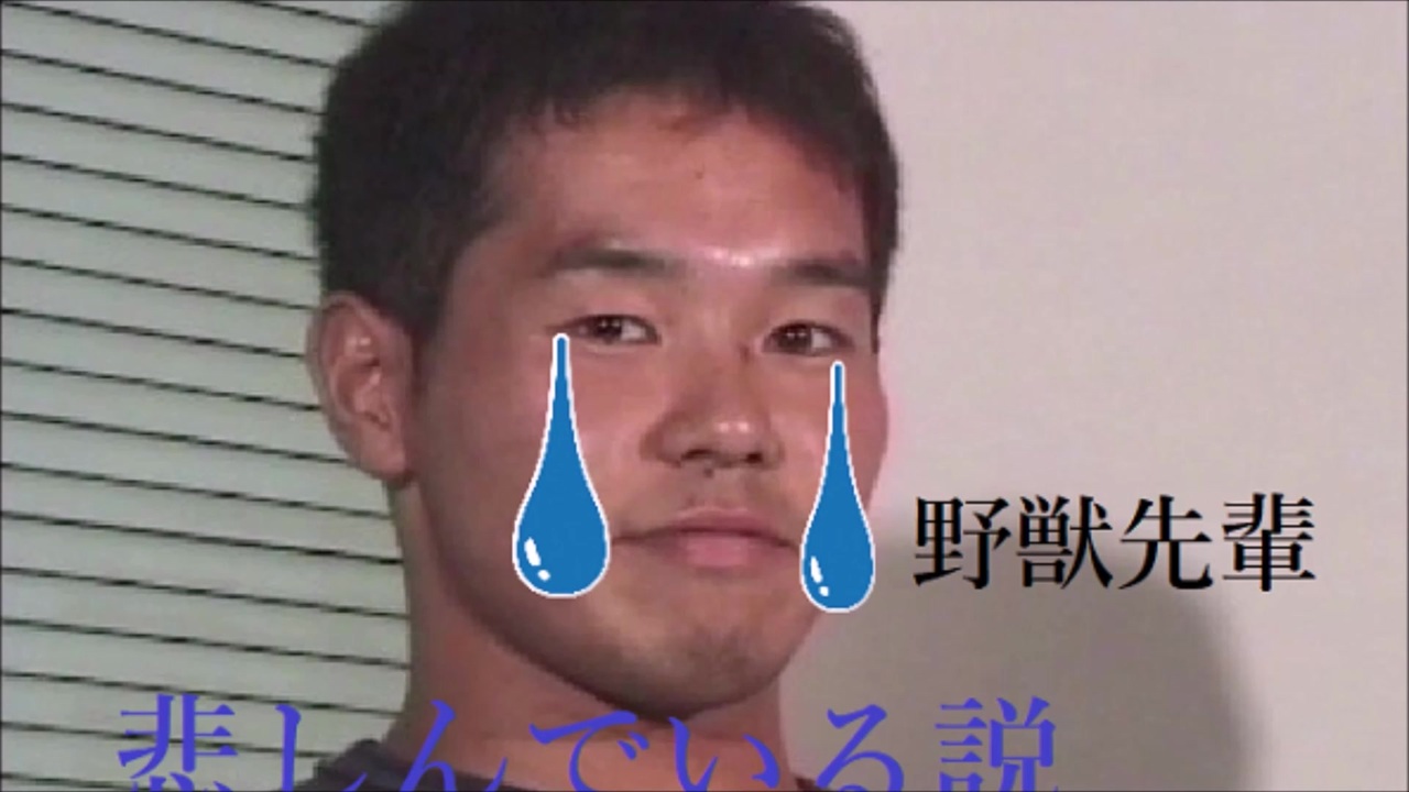 野獣先輩インタビューニコニコ