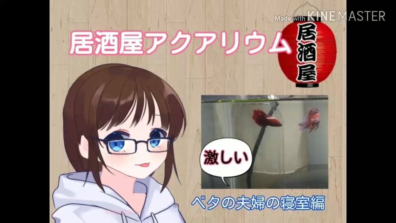人気の アクアリウム 熱帯魚 動画 1 364本 39 ニコニコ動画