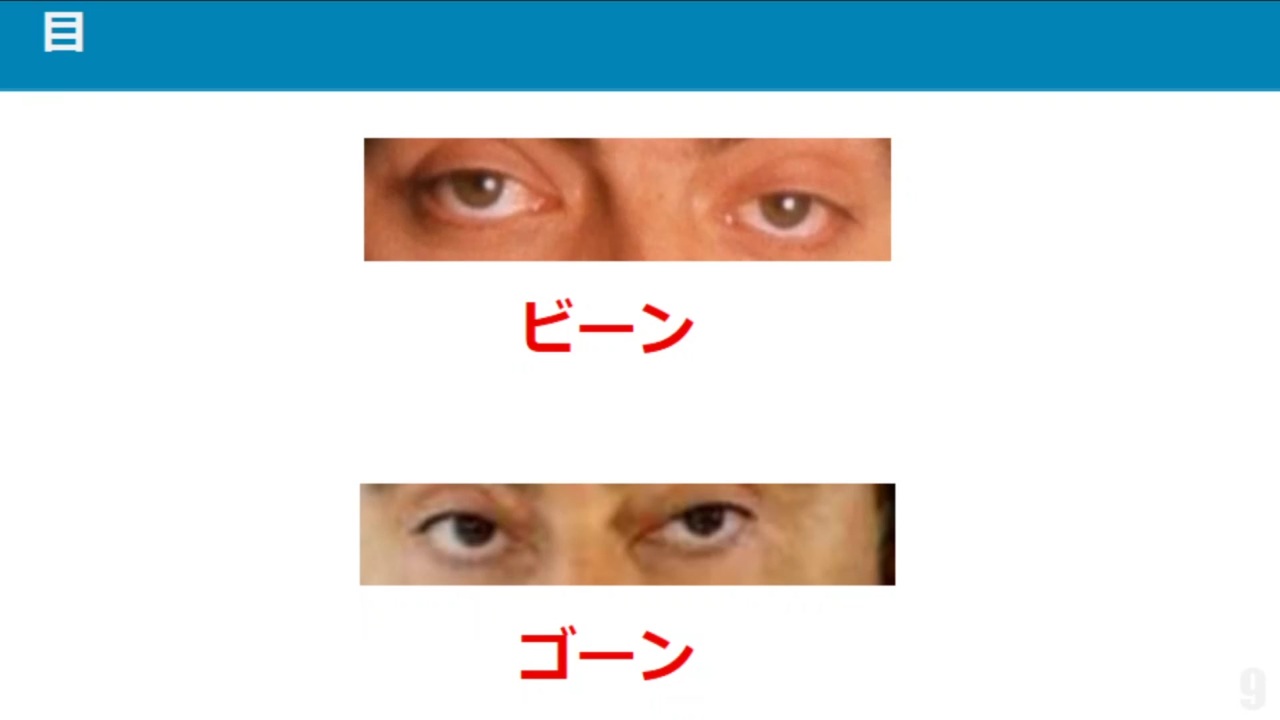 5分で分かる ゴーンとビーンの見分け方講座 ニコニコ動画