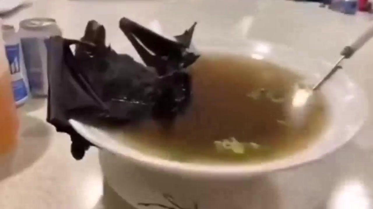 コウモリ 食べる 中国