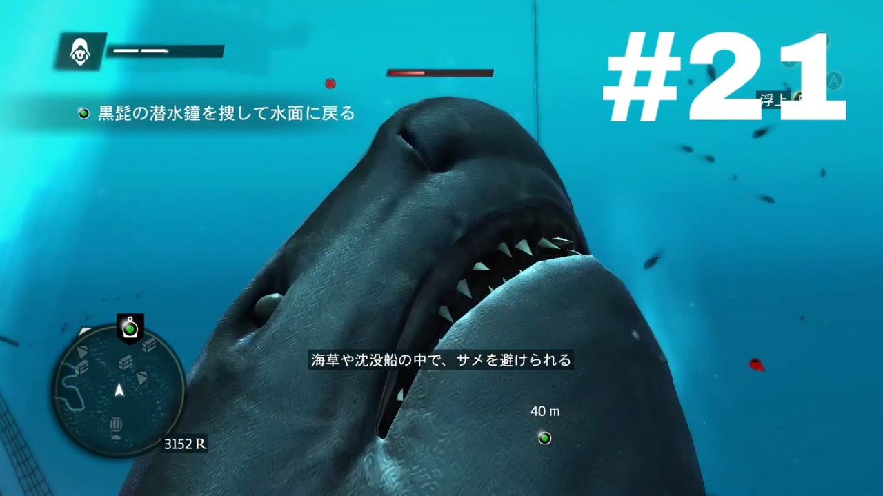 人気の 海賊 動画 787本 3 ニコニコ動画