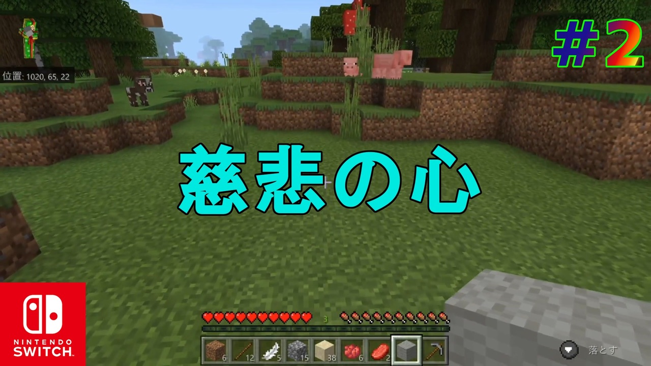 Minecraft 慈悲の心を持て 今更知識ゼロから始めるマイクラ生活第二話 Switch ニコニコ動画