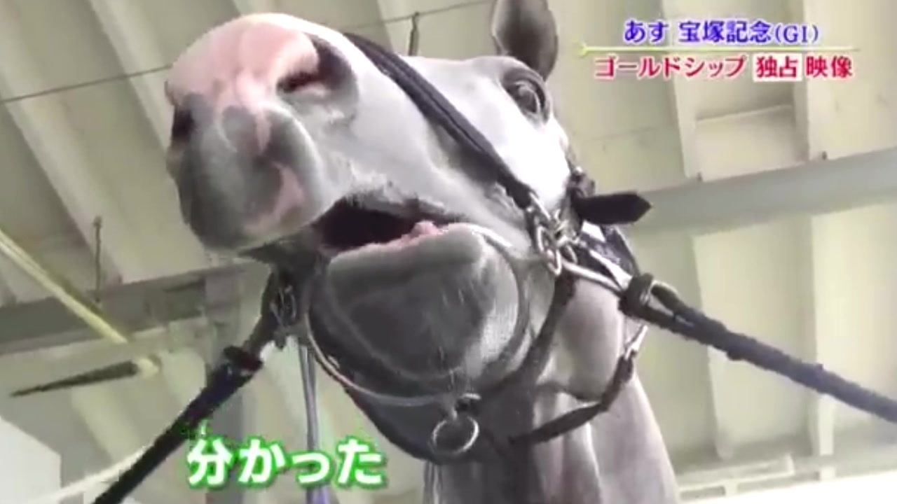 疑似m S 躍るgoldship ニコニコ動画