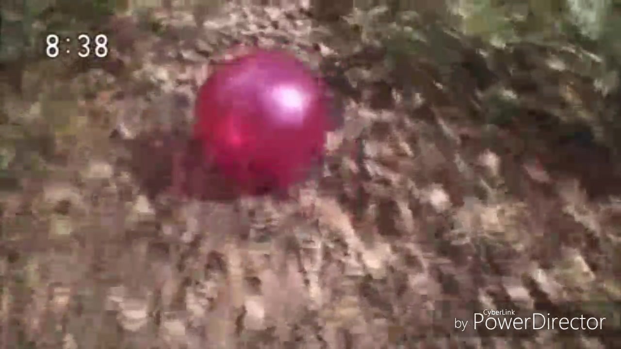 ボールの旅 落ち葉 ニコニコ動画