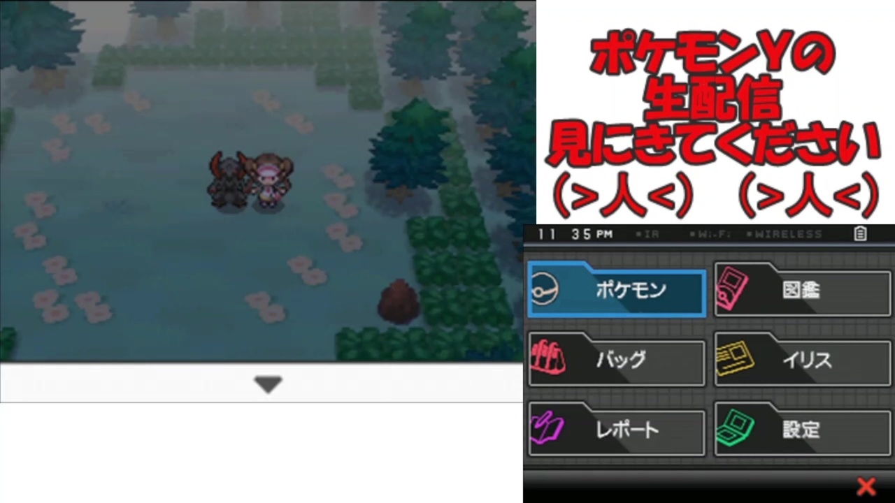 新しいコレクション ポケモン ホワイト 2 自然 保護 区 2129