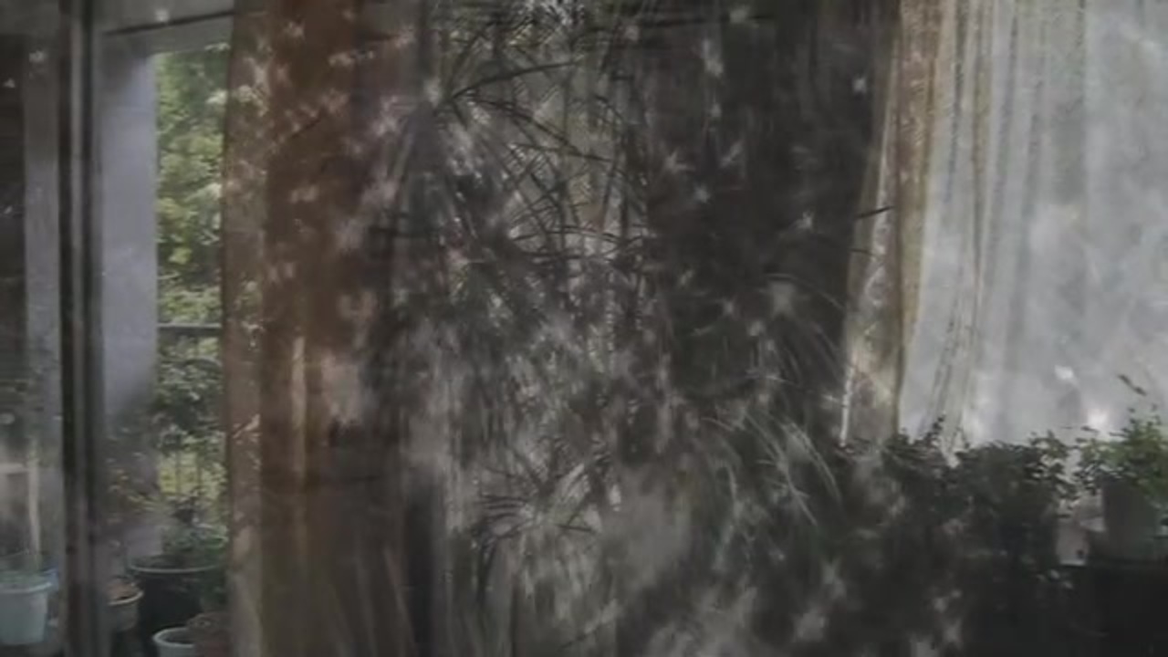 人気の 新宿御苑 動画 28本 ニコニコ動画