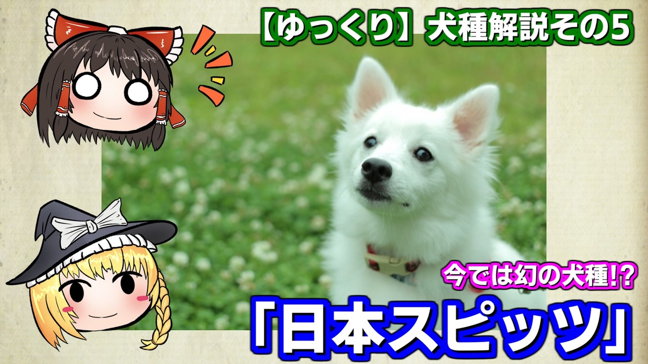 犬種解説 ワンコ関連 全24件 ひでまるさんのシリーズ ニコニコ動画