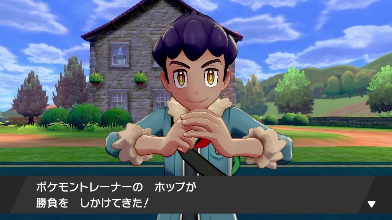 ポケモン トレーナー トレス 素材