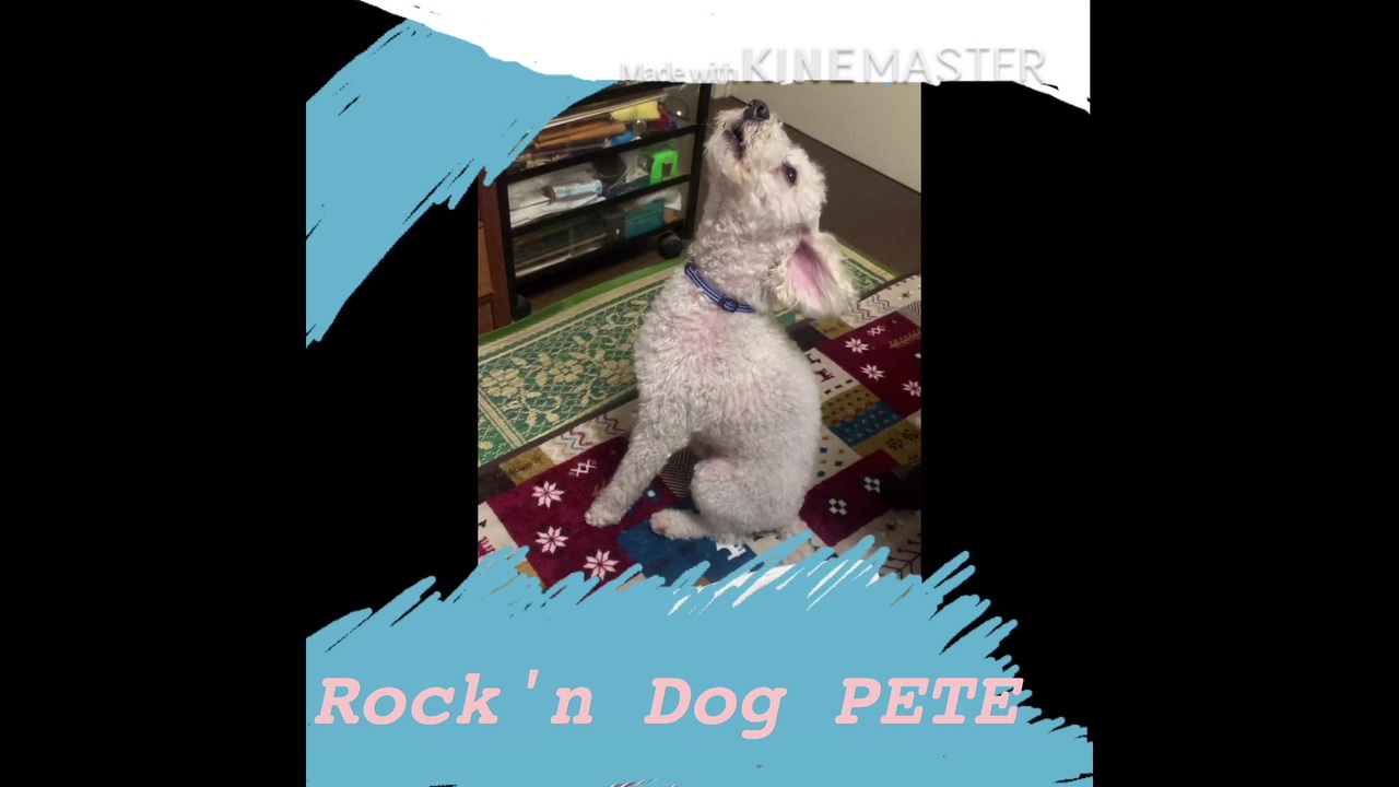 人気の 歌う犬 動画 11本 ニコニコ動画