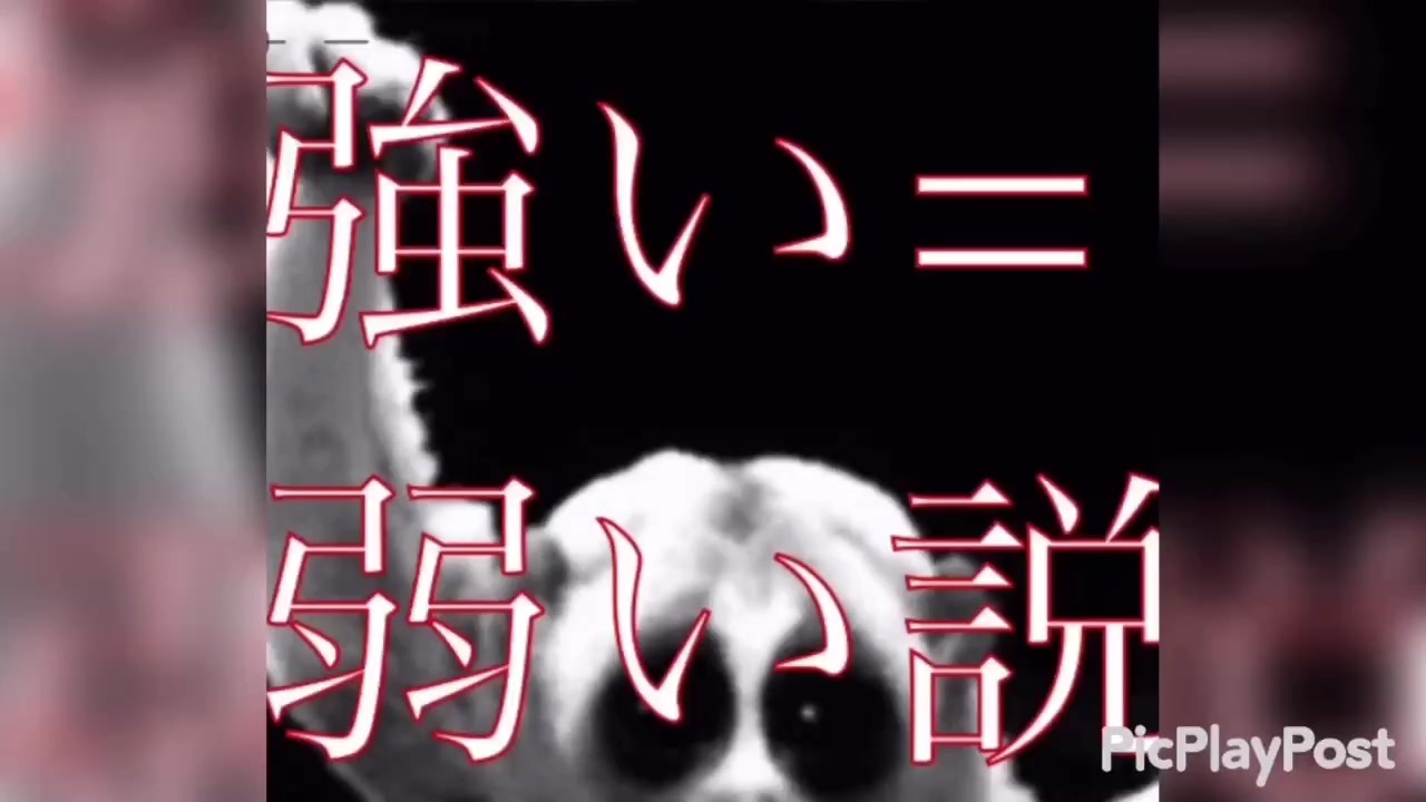 野獣先輩で学ぶ 弱い 強い説 ニコニコ動画