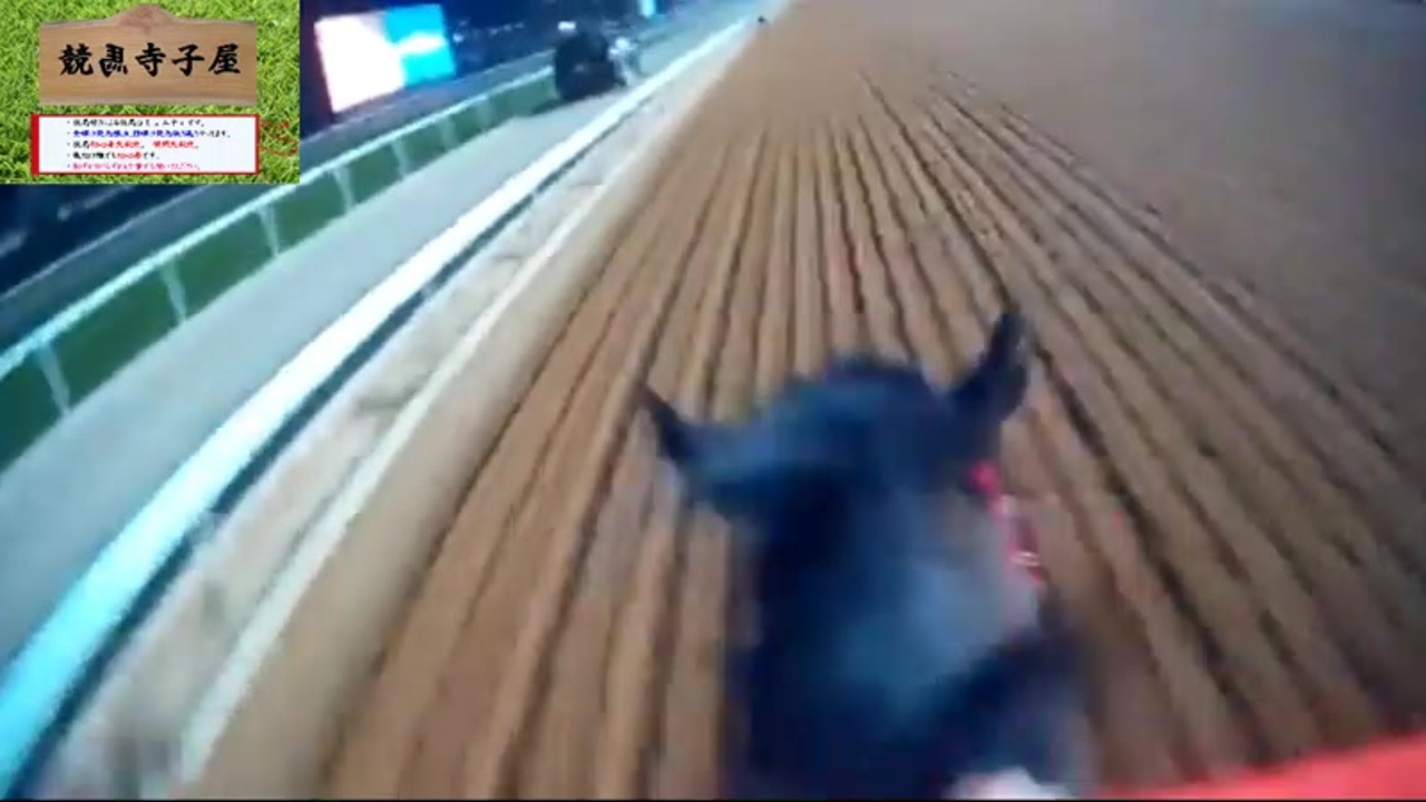 ダービー サウジ