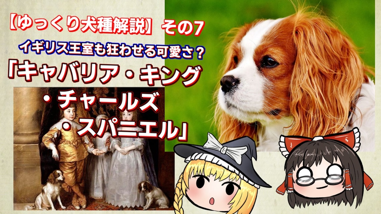 犬種解説 ワンコ関連 全24件 ひでまるさんのシリーズ ニコニコ動画