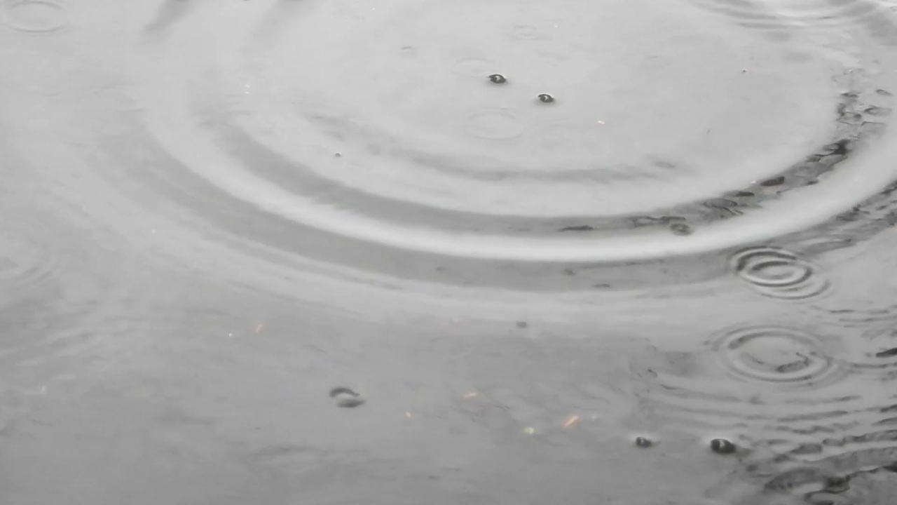 フリー素材 雨音と 水たまりに落ちる雨の映像 ニコニコ動画