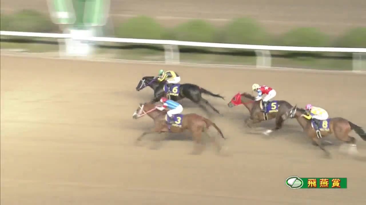 人気の トーセンブライト産駒 動画 11本 ニコニコ動画