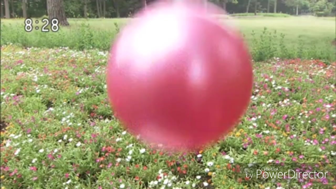 人気の ボールの旅 動画 5本 ニコニコ動画