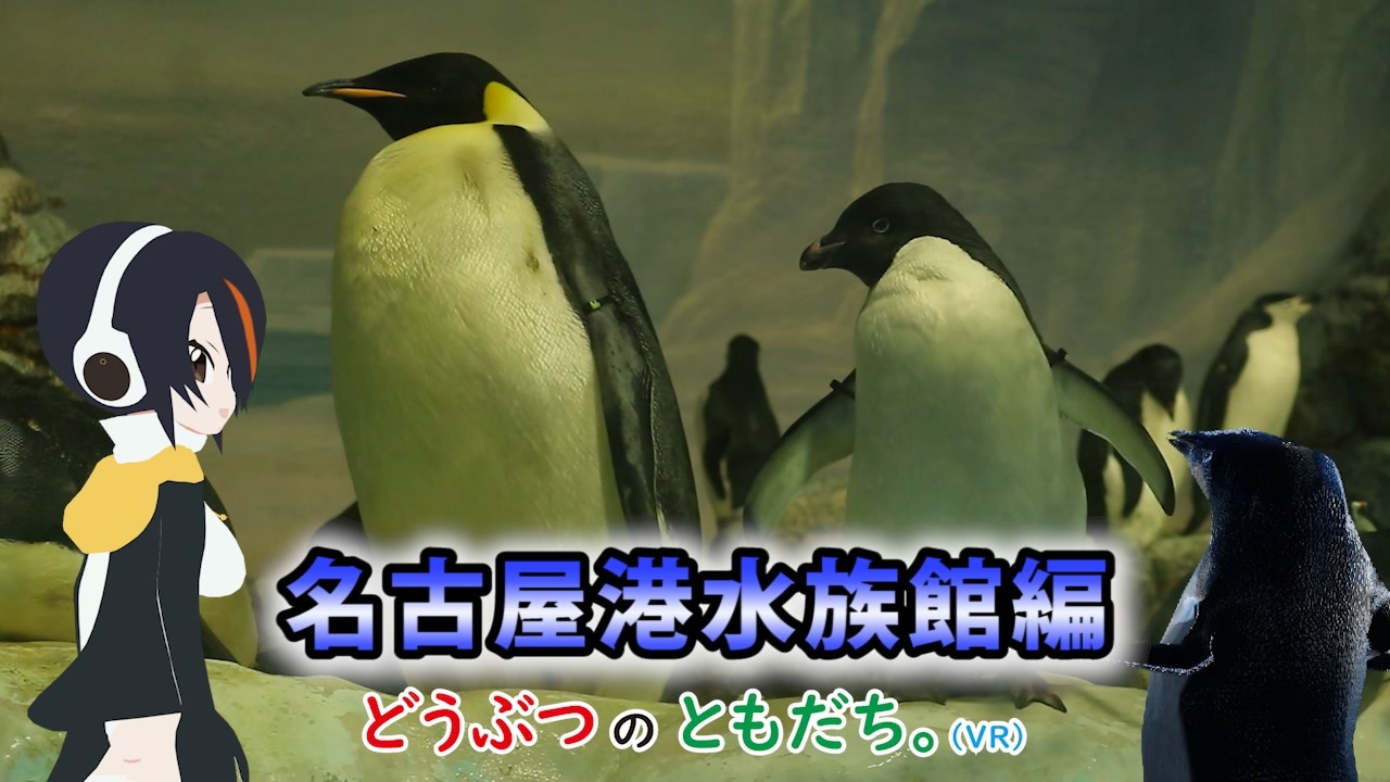 コウテイペンギン けものフレンズ