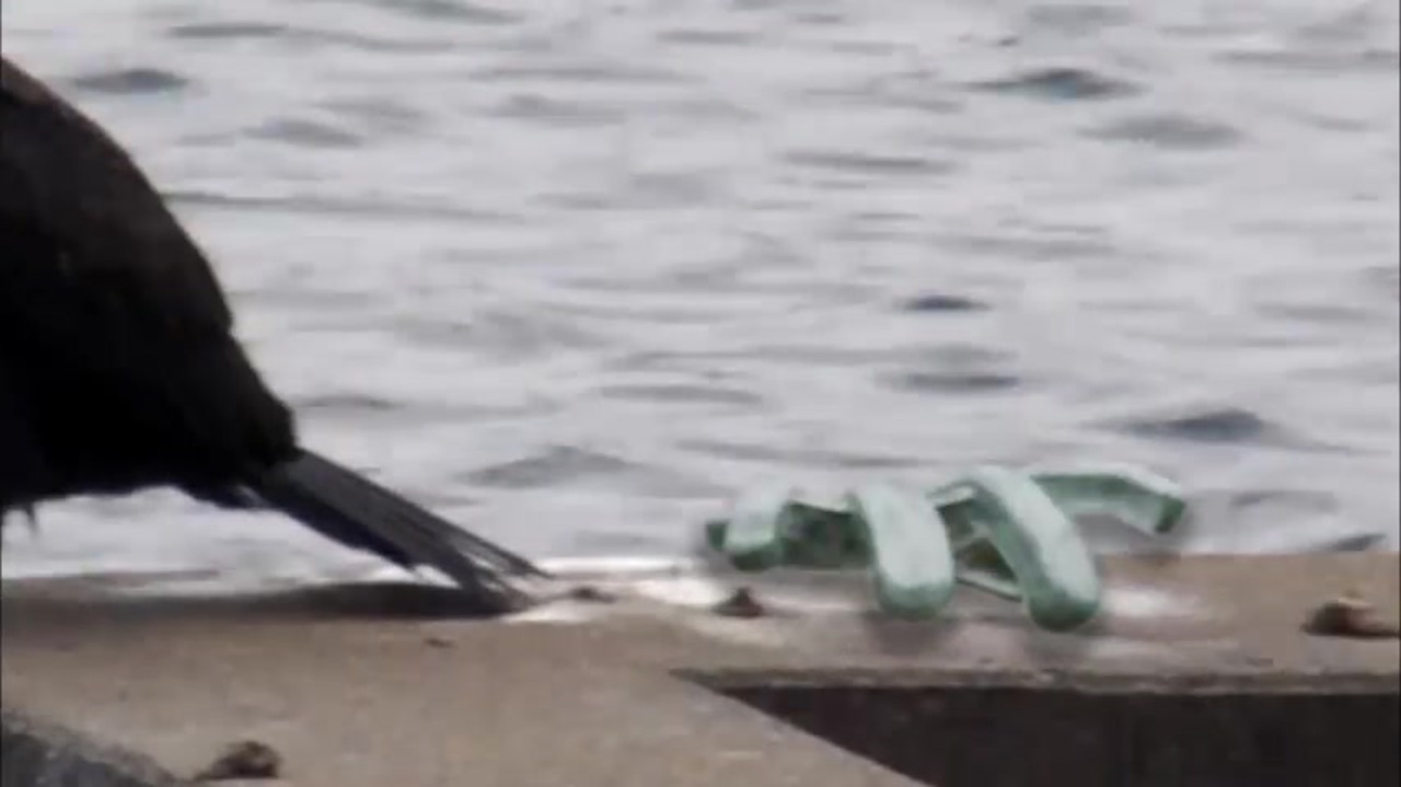 人気の Sf Ufo 動画 28本 ニコニコ動画