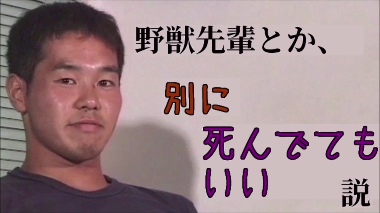 即納！最大半額！ デュエル・マスターズ 「野獣先輩」 その他