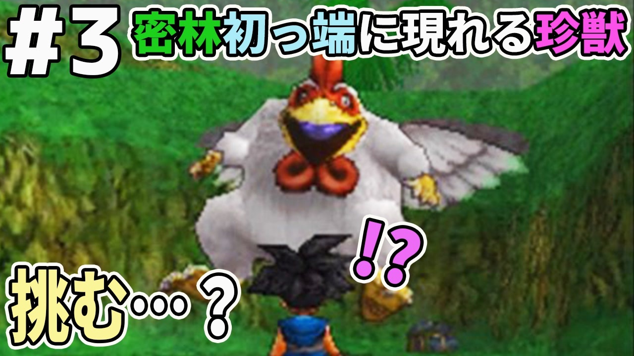 Dqmj2p実況 3 おおにわとりに勝負を挑んだ結果 ドラクエジョーカー2プロフェッショナルを初見実況プレイ ニコニコ動画