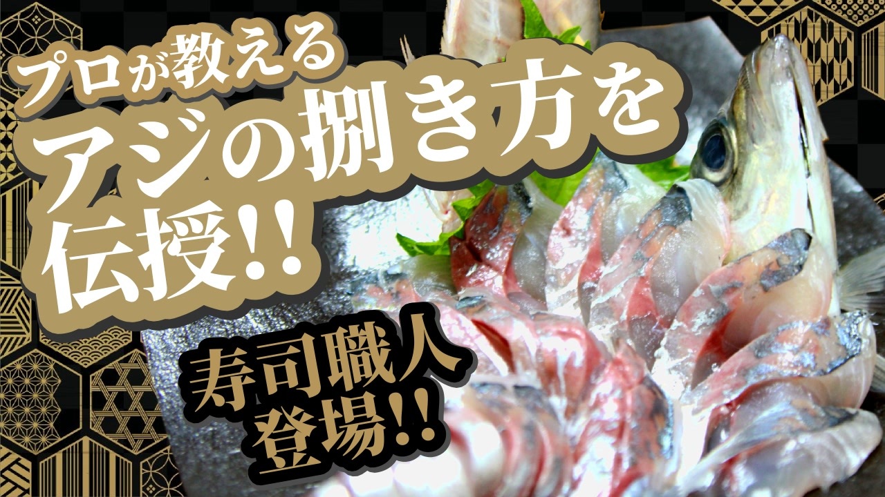 人気の さばき方 動画 本 ニコニコ動画